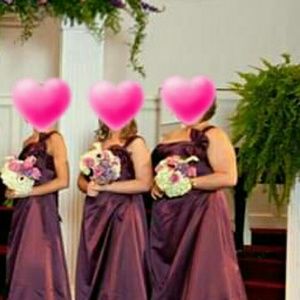 David's bridal bride's maid dress